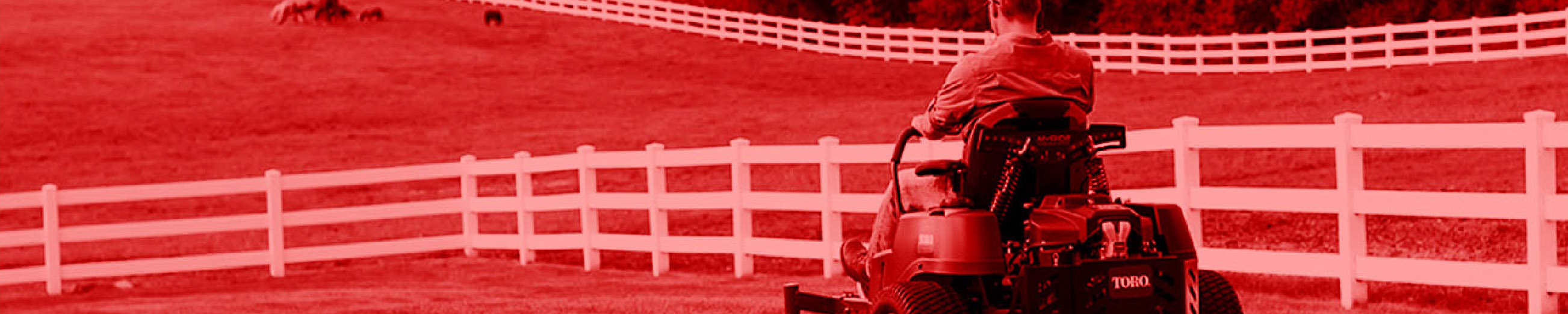 Toro Banner